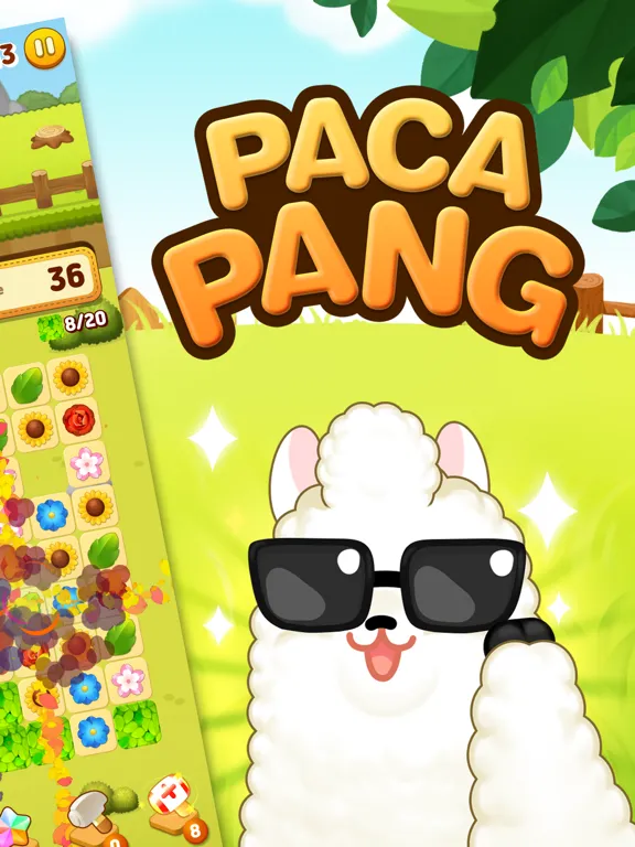 pacapang iPad  سکرین شاٹس